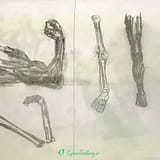 IMG 20230711 113859 748