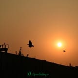 DSC 0590