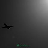 IMG E3927